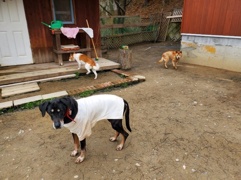 f:id:roukenhome-ann:20200228200819j:plain f:id:roukenhome-ann:20200228200819j:plain