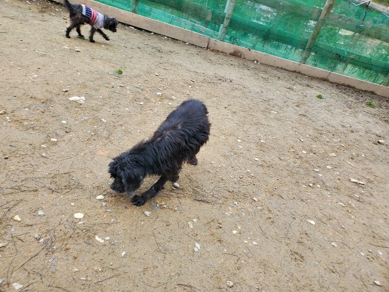 f:id:roukenhome-ann:20200229144340j:plain f:id:roukenhome-ann:20200229144340j:plain