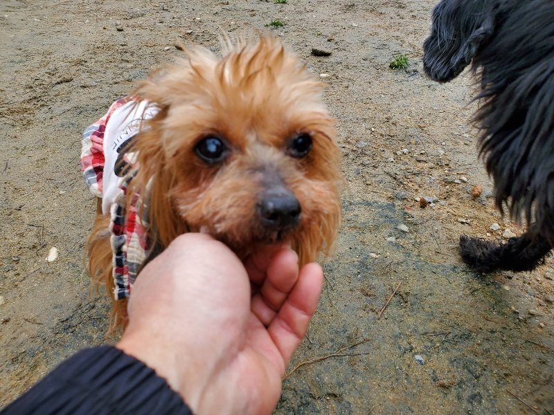 f:id:roukenhome-ann:20200229144905j:plain f:id:roukenhome-ann:20200229144905j:plain