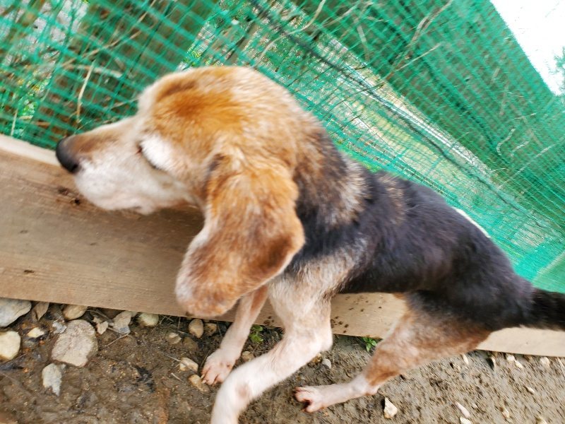 f:id:roukenhome-ann:20200229150127j:plain f:id:roukenhome-ann:20200229150127j:plain