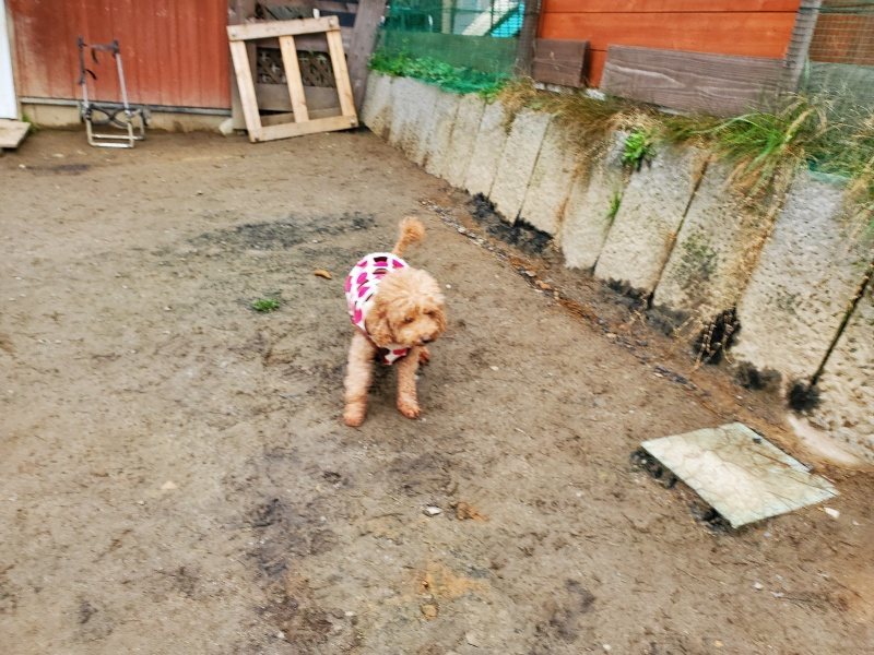 f:id:roukenhome-ann:20200229152306j:plain f:id:roukenhome-ann:20200229152306j:plain