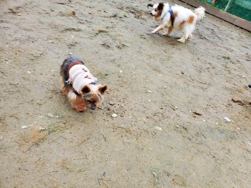 f:id:roukenhome-ann:20200229153730j:plain f:id:roukenhome-ann:20200229153730j:plain