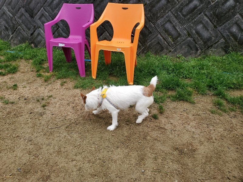 f:id:roukenhome-ann:20200303190653j:プレーン f:id:roukenhome-ann:20200303190653j:プレーン