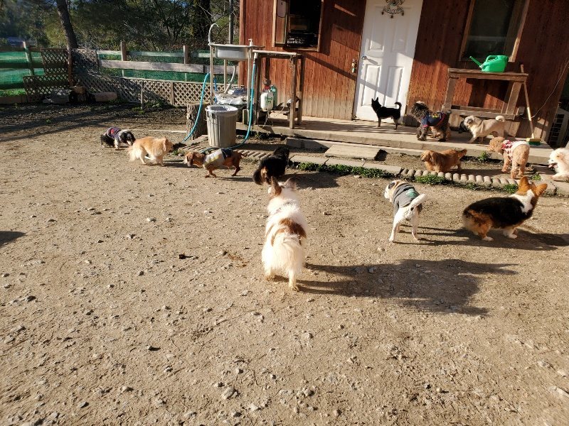 f:id:roukenhome-ann:20200306213025j:プレーン f:id:roukenhome-ann:20200306213025j:プレーン