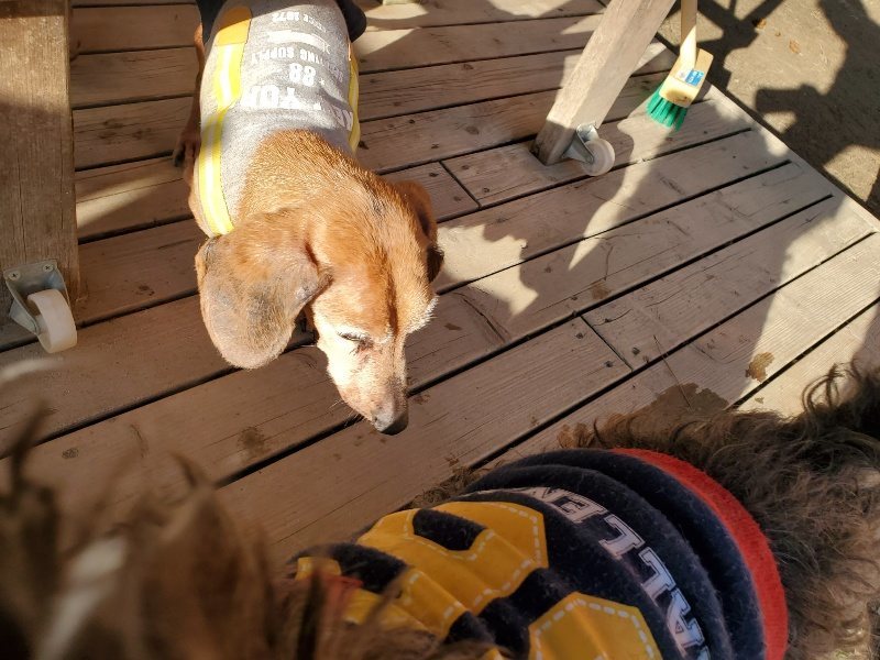 f:id:roukenhome-ann:20200306214243j:プレーン f:id:roukenhome-ann:20200306214243j:プレーン