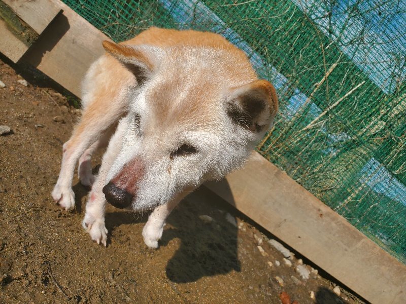 f:id:roukenhome-ann:20200309205634j:plain f:id:roukenhome-ann:20200309205634j:plain