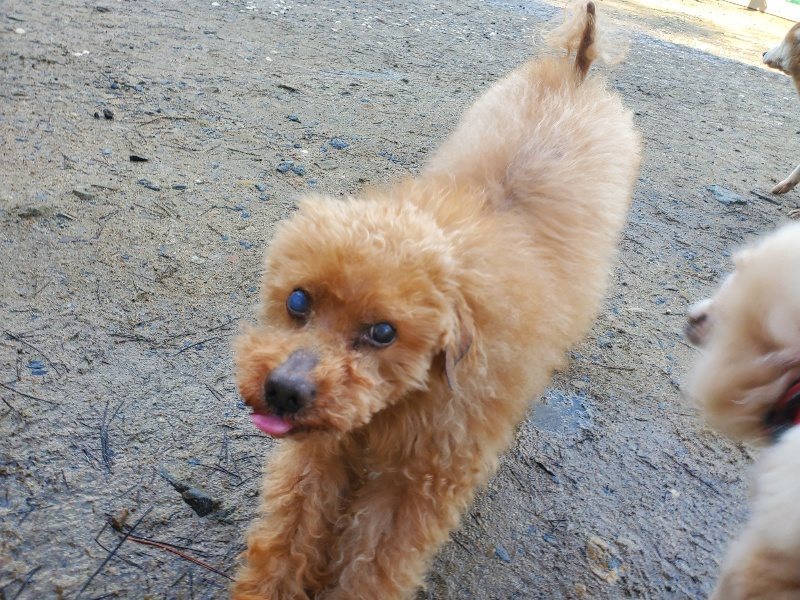 f:id:roukenhome-ann:20200309205911j:plain f:id:roukenhome-ann:20200309205911j:plain