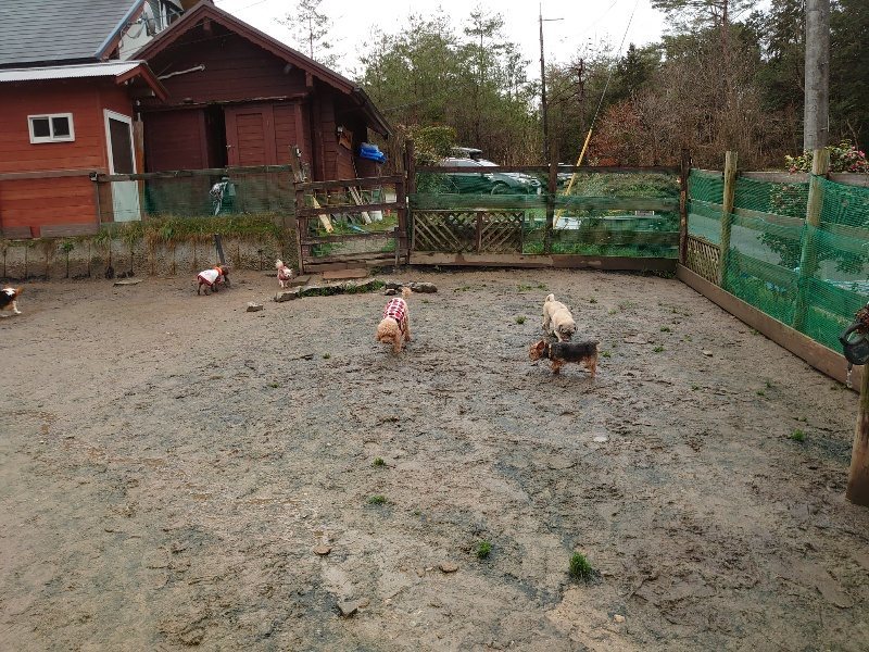 f：id：roukenhome-ann：20200311193145j：プレーン