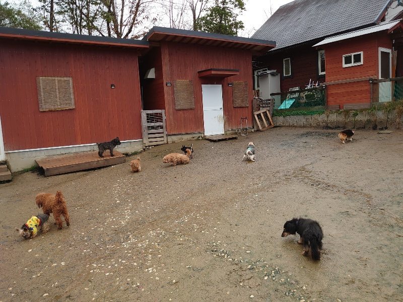 f：id：roukenhome-ann：20200311193200j：プレーン