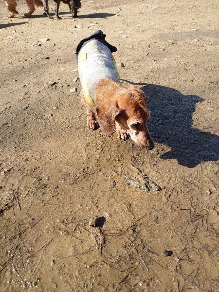 f:id:roukenhome-ann:20200313070500j:plain f:id:roukenhome-ann:20200313070500j:plain