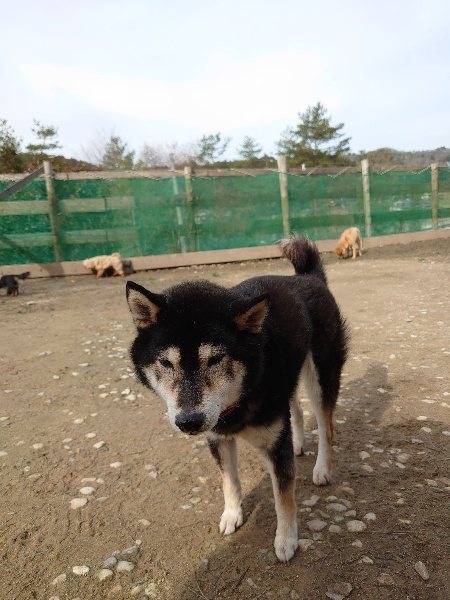 f:id:roukenhome-ann:20200313204920j:プレーン f:id:roukenhome-ann:20200313204920j:プレーン