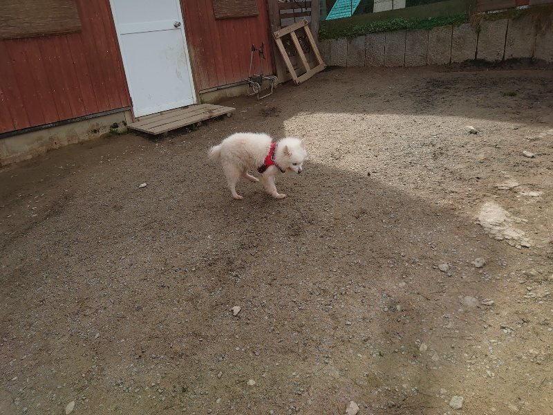 f:id:roukenhome-ann:20200313205437j:プレーン f:id:roukenhome-ann:20200313205437j:プレーン