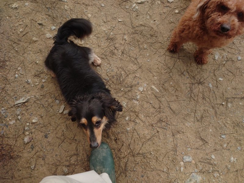 f:id:roukenhome-ann:20200313205912j:プレーン f:id:roukenhome-ann:20200313205912j:プレーン