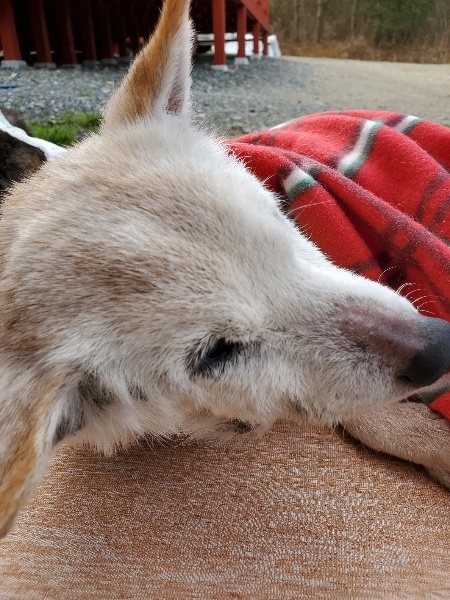 f:id:roukenhome-ann:20200315203818j:plain f:id:roukenhome-ann:20200315203818j:plain