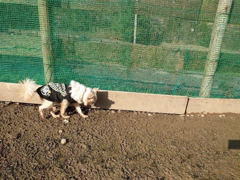 f:id:roukenhome-ann:20200317172620j:plain f:id:roukenhome-ann:20200317172620j:plain