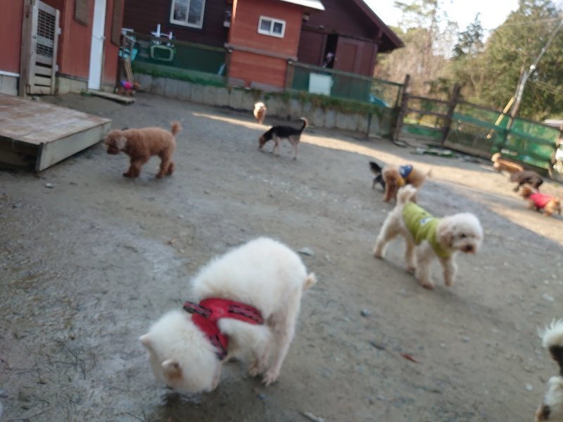 f:id:roukenhome-ann:20200317172903j:plain f:id:roukenhome-ann:20200317172903j:plain