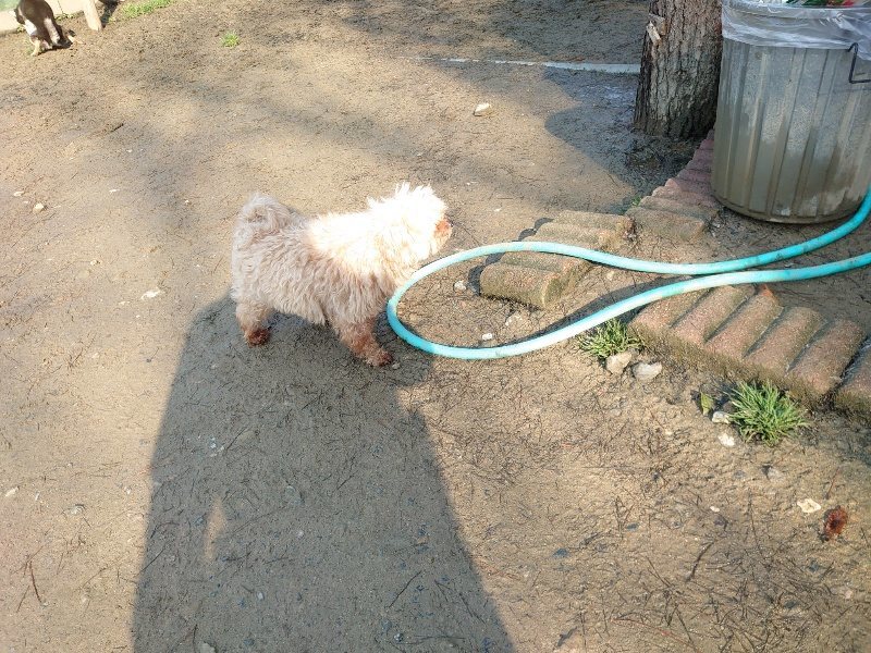 f:id:roukenhome-ann:20200317173009j:plain f:id:roukenhome-ann:20200317173009j:plain