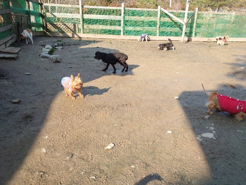 f:id:roukenhome-ann:20200317174543j:plain f:id:roukenhome-ann:20200317174543j:plain