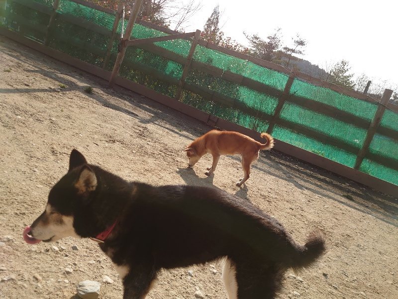 f:id:roukenhome-ann:20200320080359j:plain f:id:roukenhome-ann:20200320080359j:plain