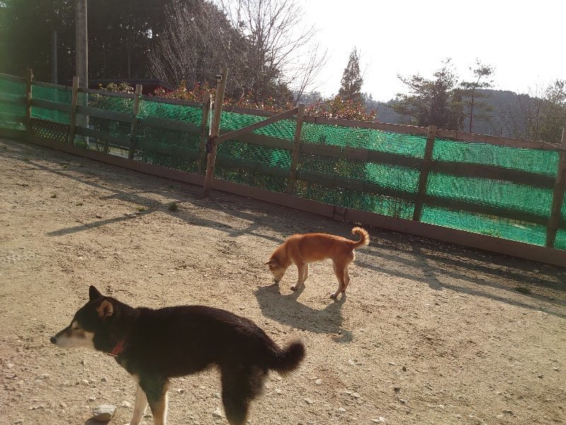 f:id:roukenhome-ann:20200320080405j:plain f:id:roukenhome-ann:20200320080405j:plain
