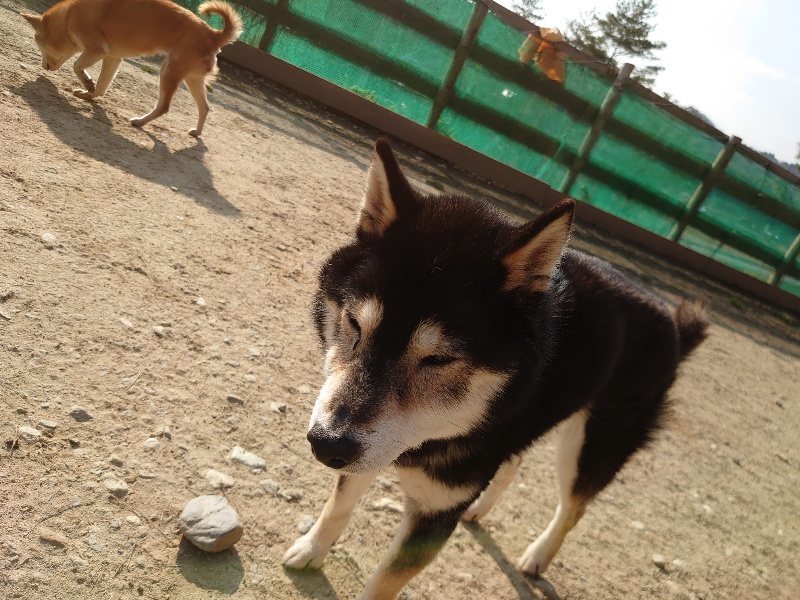 f:id:roukenhome-ann:20200320080414j:plain f:id:roukenhome-ann:20200320080414j:plain