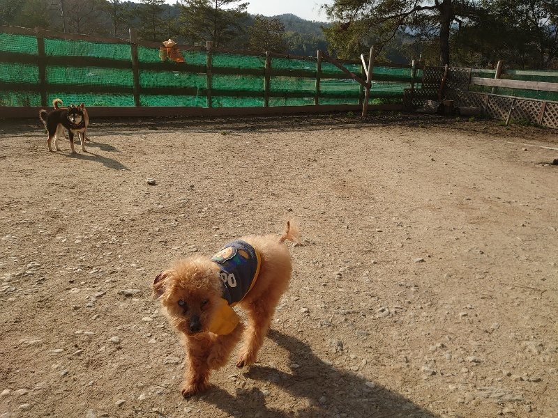 f:id:roukenhome-ann:20200320080555j:plain f:id:roukenhome-ann:20200320080555j:plain