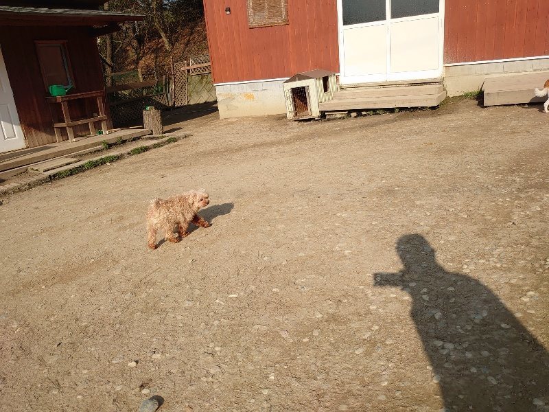 f:id:roukenhome-ann:20200320080820j:plain f:id:roukenhome-ann:20200320080820j:plain