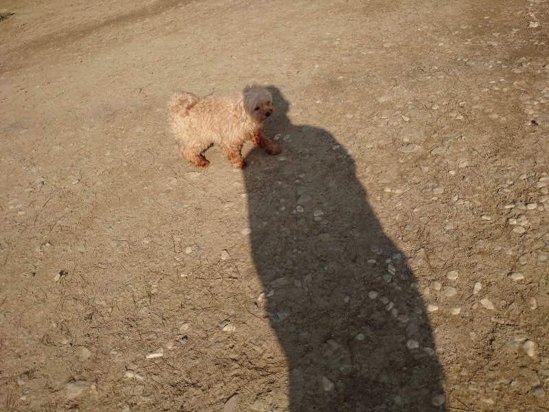 f:id:roukenhome-ann:20200320080834j:plain f:id:roukenhome-ann:20200320080834j:plain