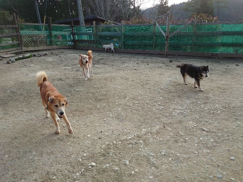 f:id:roukenhome-ann:20200320081120j:plain f:id:roukenhome-ann:20200320081120j:plain