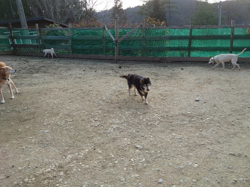 f:id:roukenhome-ann:20200320081125j:plain f:id:roukenhome-ann:20200320081125j:plain