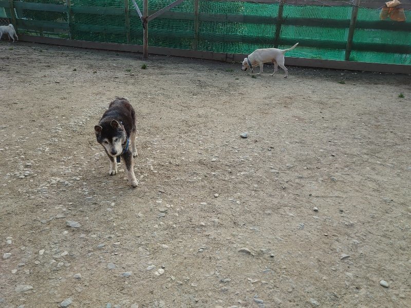 f:id:roukenhome-ann:20200320081140j:plain f:id:roukenhome-ann:20200320081140j:plain