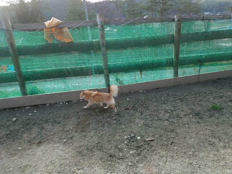 f:id:roukenhome-ann:20200320082716j:plain f:id:roukenhome-ann:20200320082716j:plain