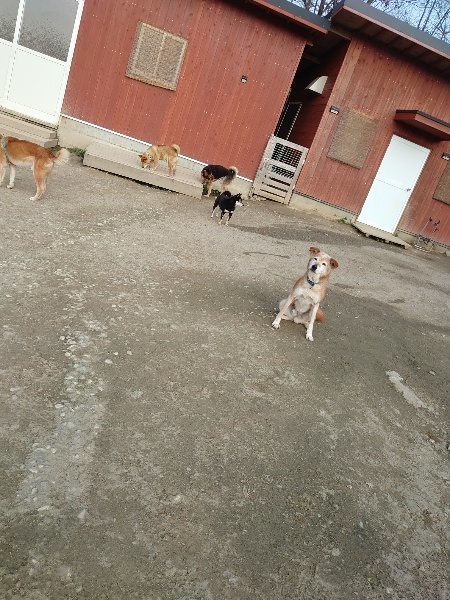 f:id:roukenhome-ann:20200320082744j:plain f:id:roukenhome-ann:20200320082744j:plain