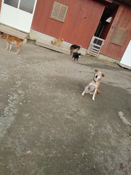 f:id:roukenhome-ann:20200320082749j:plain f:id:roukenhome-ann:20200320082749j:plain