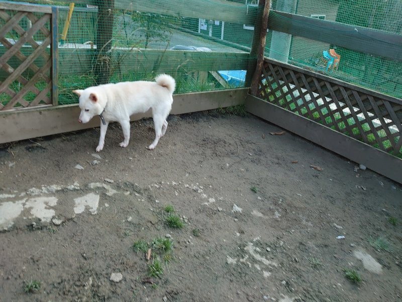 f:id:roukenhome-ann:20200320082755j:plain f:id:roukenhome-ann:20200320082755j:plain