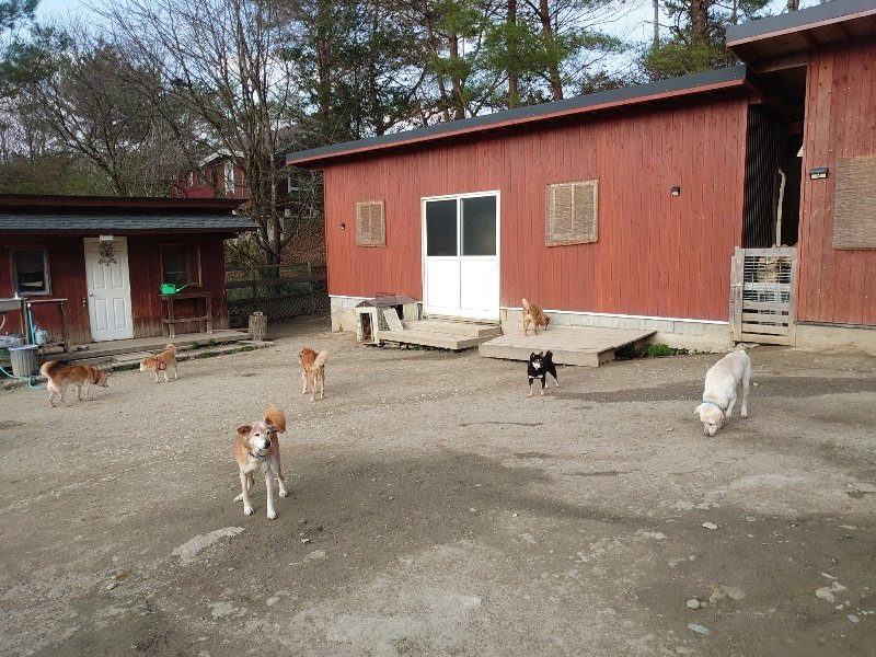 f:id:roukenhome-ann:20200320082845j:plain f:id:roukenhome-ann:20200320082845j:plain