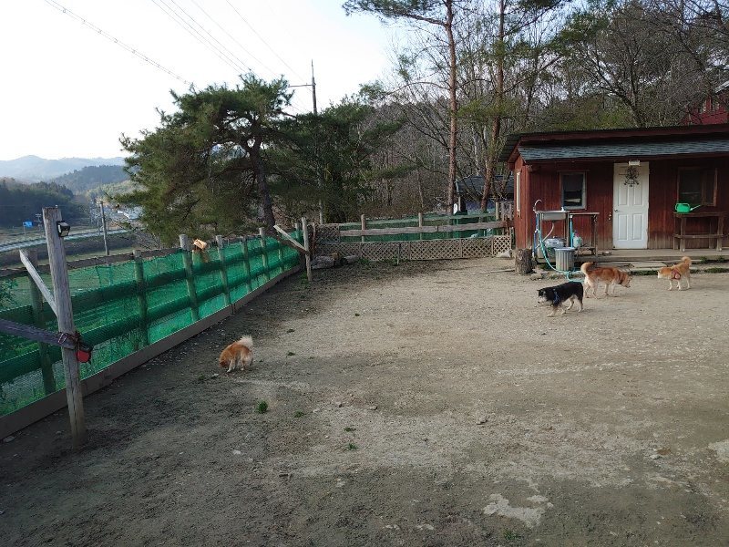 f:id:roukenhome-ann:20200320082850j:plain f:id:roukenhome-ann:20200320082850j:plain