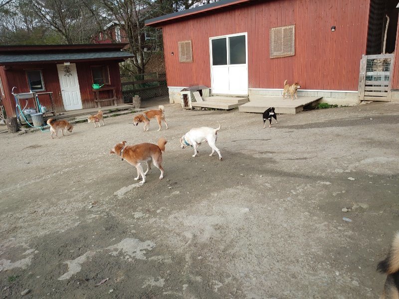 f:id:roukenhome-ann:20200320082916j:plain f:id:roukenhome-ann:20200320082916j:plain