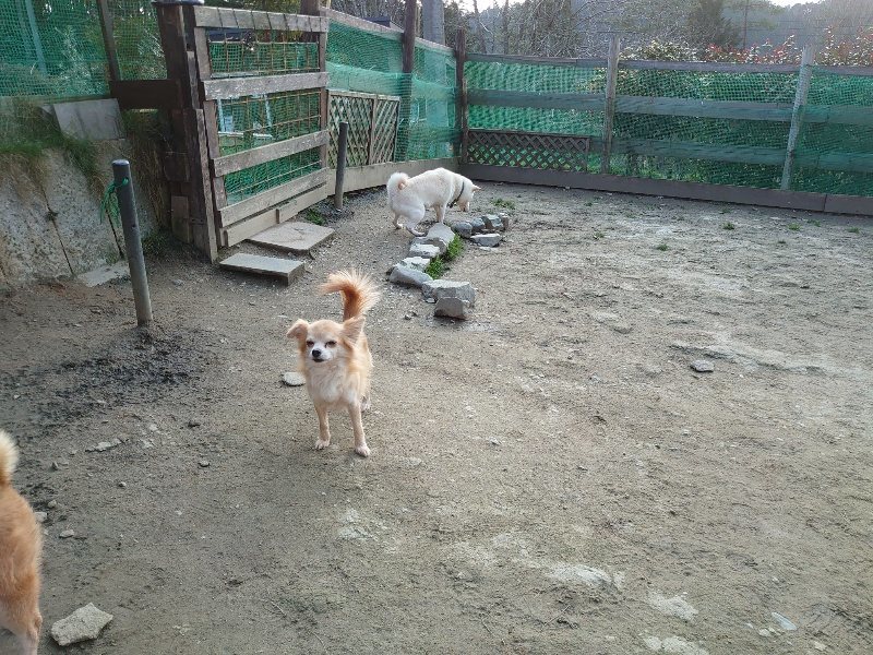 f:id:roukenhome-ann:20200320082956j:plain f:id:roukenhome-ann:20200320082956j:plain