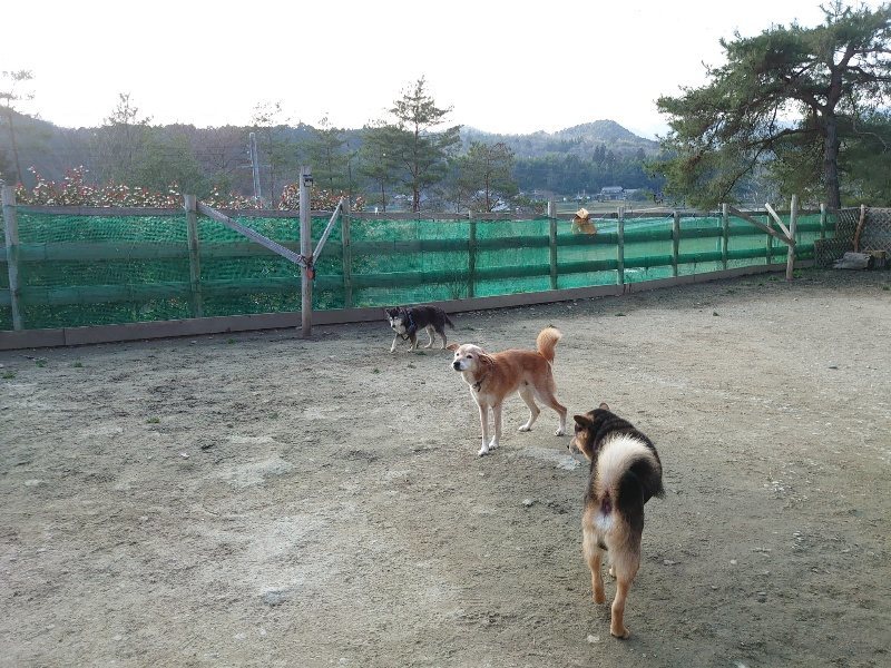 f:id:roukenhome-ann:20200320083002j:plain f:id:roukenhome-ann:20200320083002j:plain