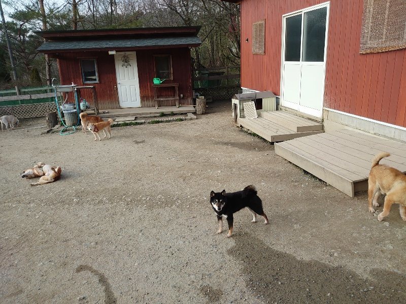 f:id:roukenhome-ann:20200320083012j:plain f:id:roukenhome-ann:20200320083012j:plain