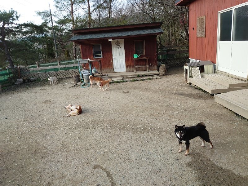 f:id:roukenhome-ann:20200320083018j:plain f:id:roukenhome-ann:20200320083018j:plain