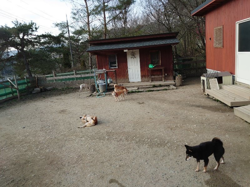 f:id:roukenhome-ann:20200320083027j:plain f:id:roukenhome-ann:20200320083027j:plain