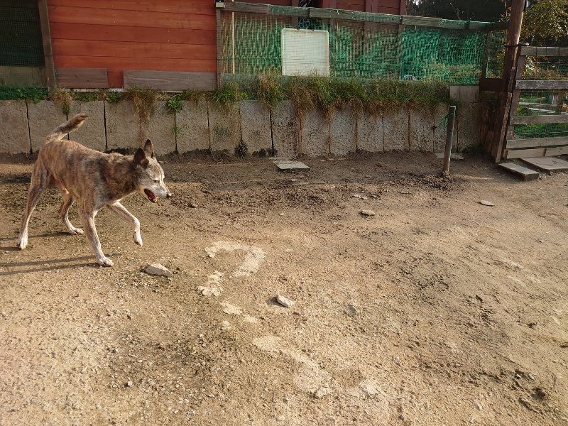 f:id:roukenhome-ann:20200320083120j:plain f:id:roukenhome-ann:20200320083120j:plain