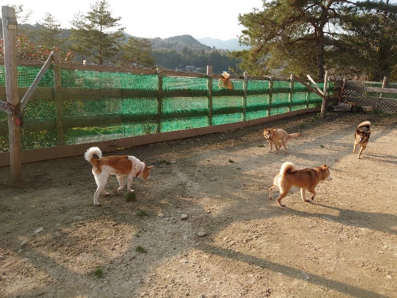 f:id:roukenhome-ann:20200320083207j:plain f:id:roukenhome-ann:20200320083207j:plain