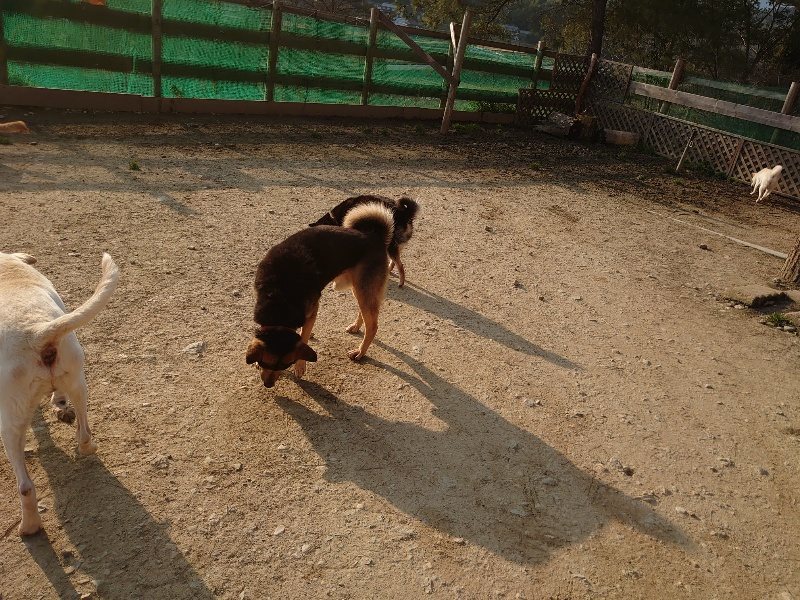 f:id:roukenhome-ann:20200320083254j:plain f:id:roukenhome-ann:20200320083254j:plain