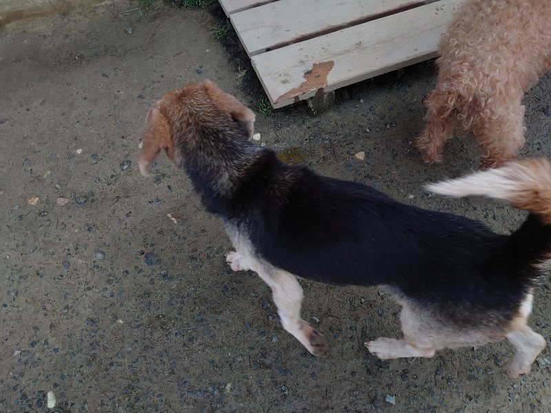 f:id:roukenhome-ann:20200320175825j:plain f:id:roukenhome-ann:20200320175825j:plain