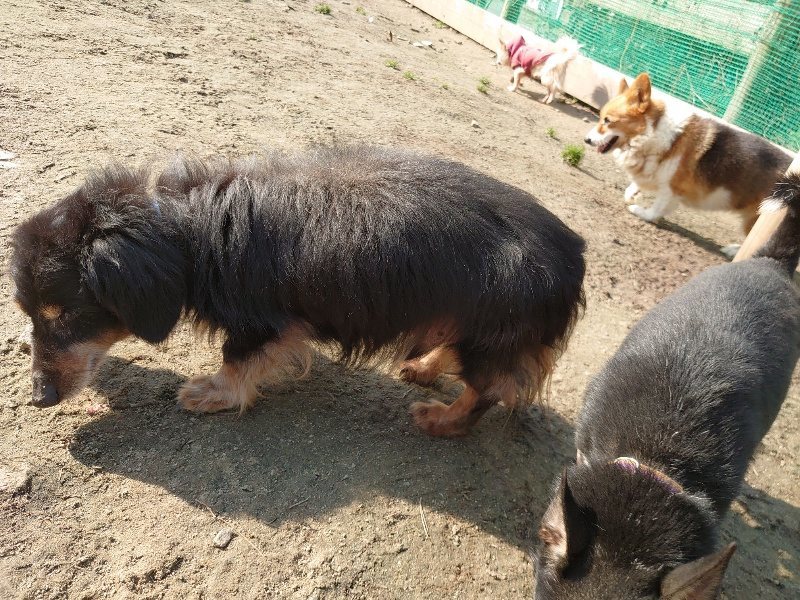 f:id:roukenhome-ann:20200320181937j:plain f:id:roukenhome-ann:20200320181937j:plain