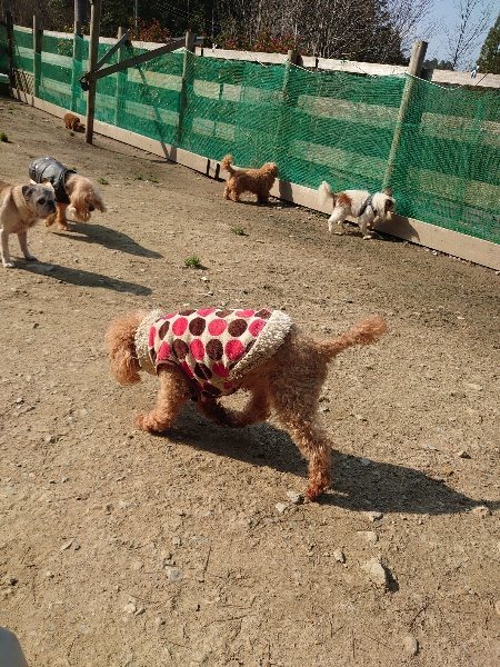 f:id:roukenhome-ann:20200320182043j:plain f:id:roukenhome-ann:20200320182043j:plain