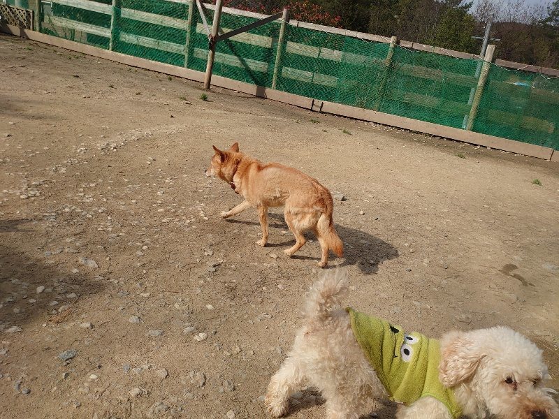 f：id：roukenhome-ann：20200320211228j：plain